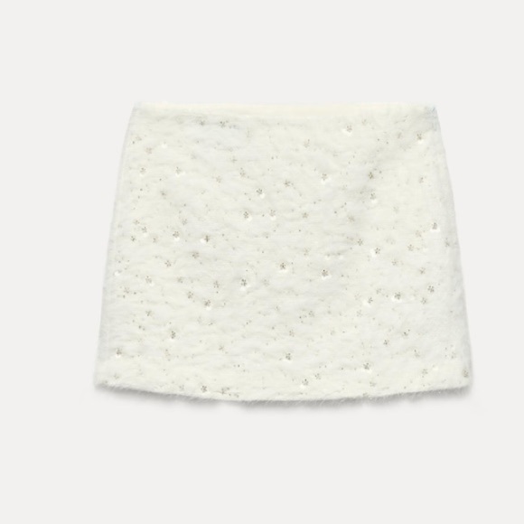 NWT ZARA MINI BEADED SKIRT SIZE S
🚨FINAL PRICE NO ACCEPT OFFERS - Picture 8 of 16